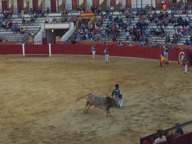 congresocirugiataurinateruel2